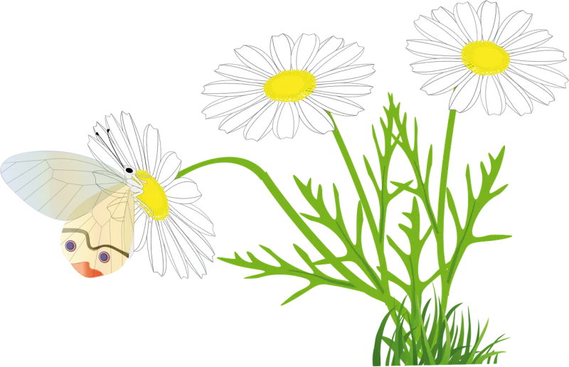 Flower Beautiful flowers Butterfly Stickdatei – Blumen