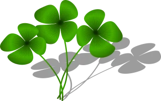 Clovers Luck Flora Stickdatei