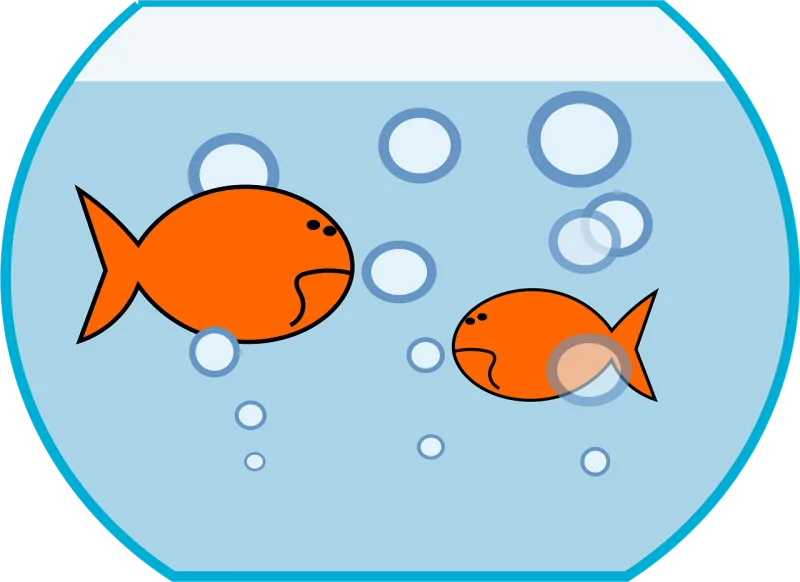 Bowl Fish Goldfish Stickdatei – Sport