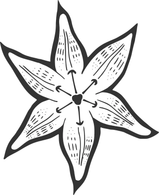 Lily Flower Nature Stickdatei