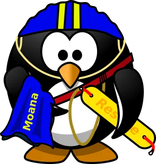 Lifesaver Penguin Surf Stickdatei