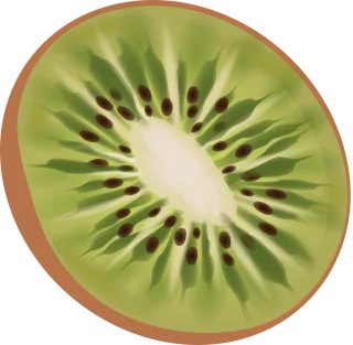 Kiwi Fruit Food Stickdatei