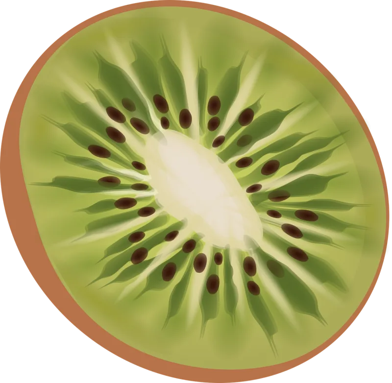 Kiwi Fruit Food Stickdatei – Essen & Trinken