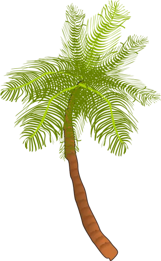 Palm Tree Nature Stickdatei