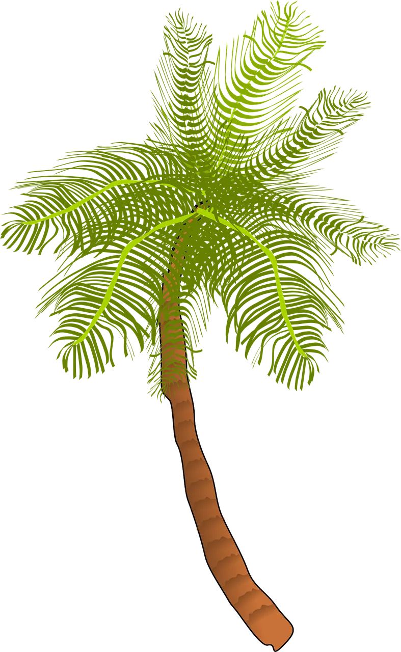 Palm Tree Nature Stickdatei – Natur
