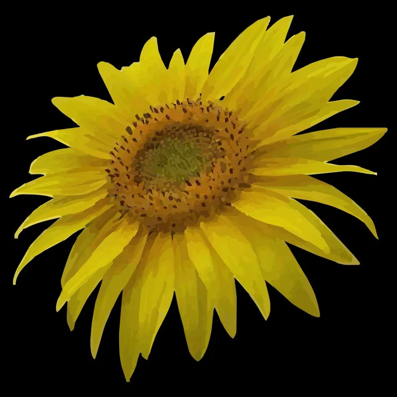 Sun flower Nature Beautiful flowers Stickdatei – Blumen