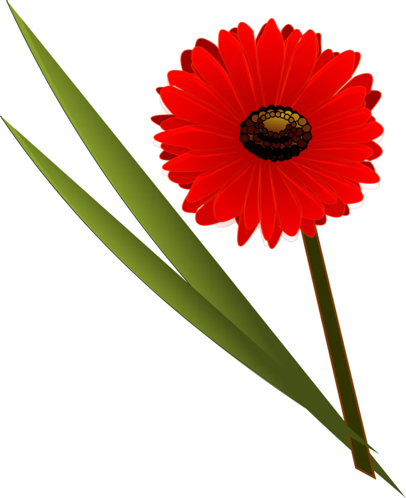 Flower Blossom Red Stickdatei – Blumen