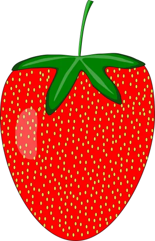 Strawberry Fruit Plant Stickdatei