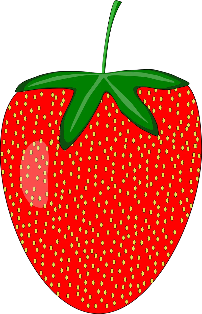 Strawberry Fruit Plant Stickdatei – Essen & Trinken