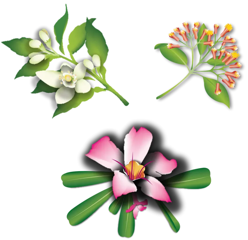 Flower Bloom Nature Stickdatei – Blumen