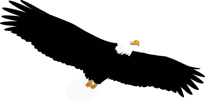 Bald Eagle Nature Stickdatei – Natur