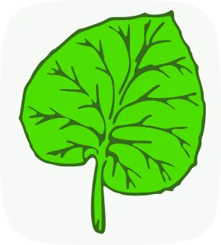 Botanic Leaf Green Stickdatei