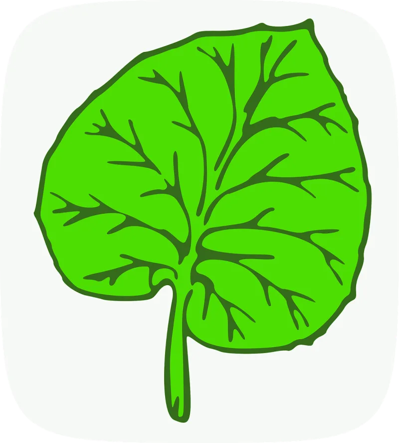 Botanic Leaf Green Stickdatei – Natur