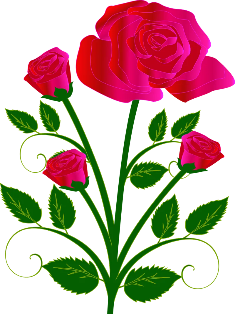 Bouquet Beautiful flowers Rose flower Stickdatei – Blumen