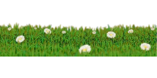 Meadow Grass Green Stickdatei