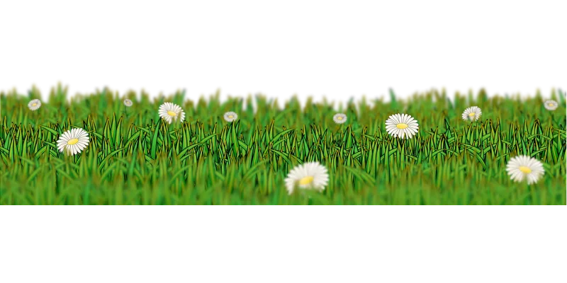 Meadow Grass Green Stickdatei – Blumen