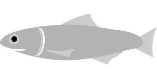 Anchovy Fish Grey Stickdatei