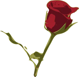 Red rose Beautiful flowers Nature Stickdatei