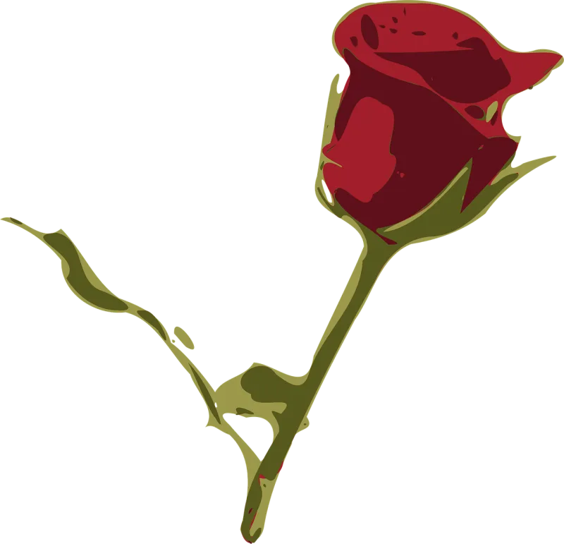 Red rose Beautiful flowers Nature Stickdatei – Blumen