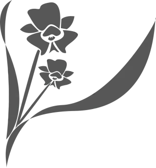Flower Flower background Orchid Stickdatei