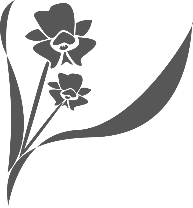 Flower Flower background Orchid Stickdatei – Blumen