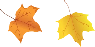 Leaves Fall Autumn leaves Stickdatei