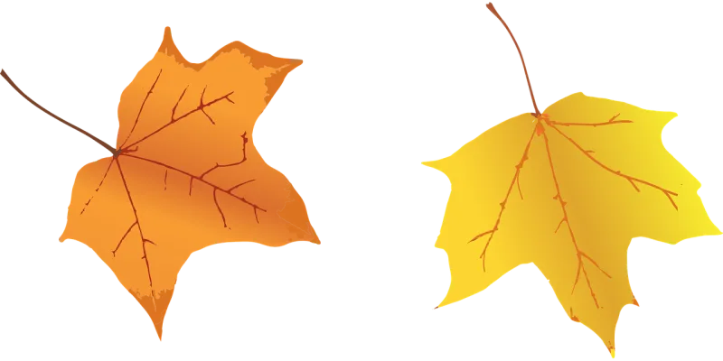 Leaves Fall Autumn leaves Stickdatei – Natur