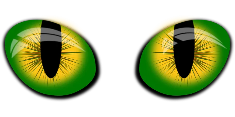 Vector eyes Inkscape eyes Eyes Stickdatei – Tiere