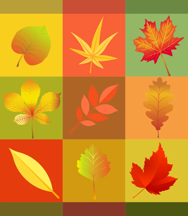 Fall Leaves Multicoloured Stickdatei – Natur