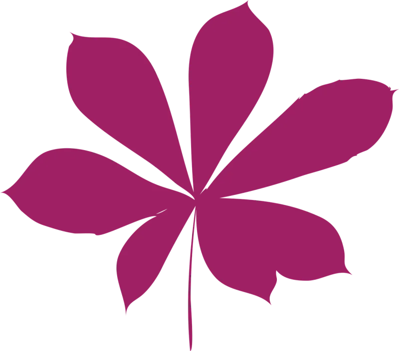 Leaf Autumn leaf Dry leaf Stickdatei – Natur