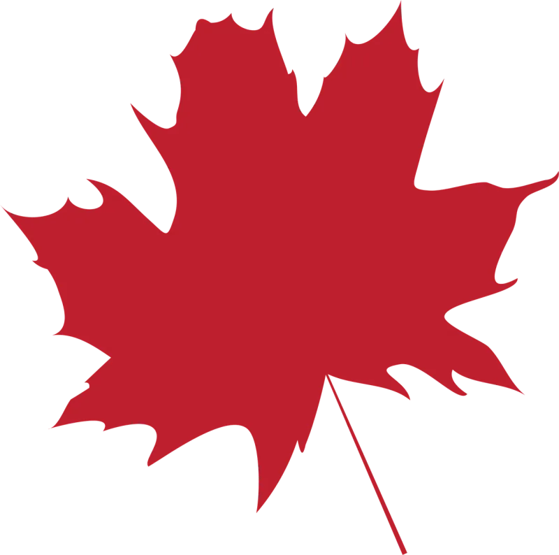 Leaf Autumn leaf Dry leaf Stickdatei – Natur