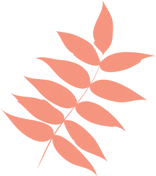 Leaf Autumn leaf Dry leaf Stickdatei