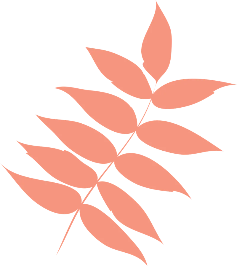 Leaf Autumn leaf Dry leaf Stickdatei – Natur