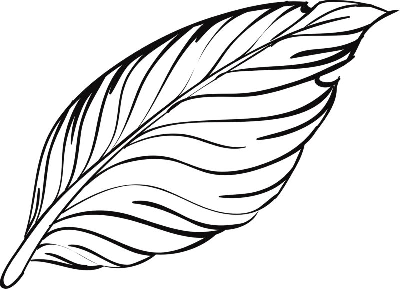 Pen Washes Bird Stickdatei – Tiere