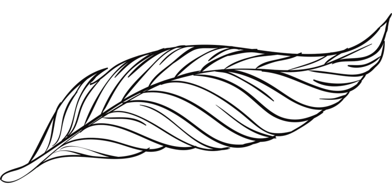 Pen Washes Bird Stickdatei – Sport
