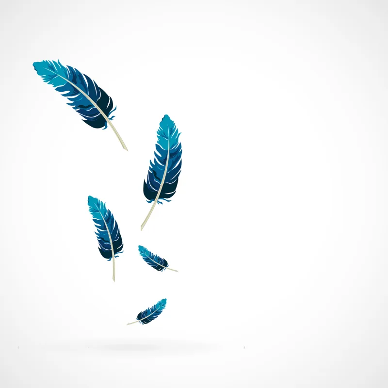 Feather Falling Plume Stickdatei – Natur