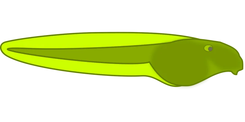 Tadpole Frog Pond life Stickdatei – Sport