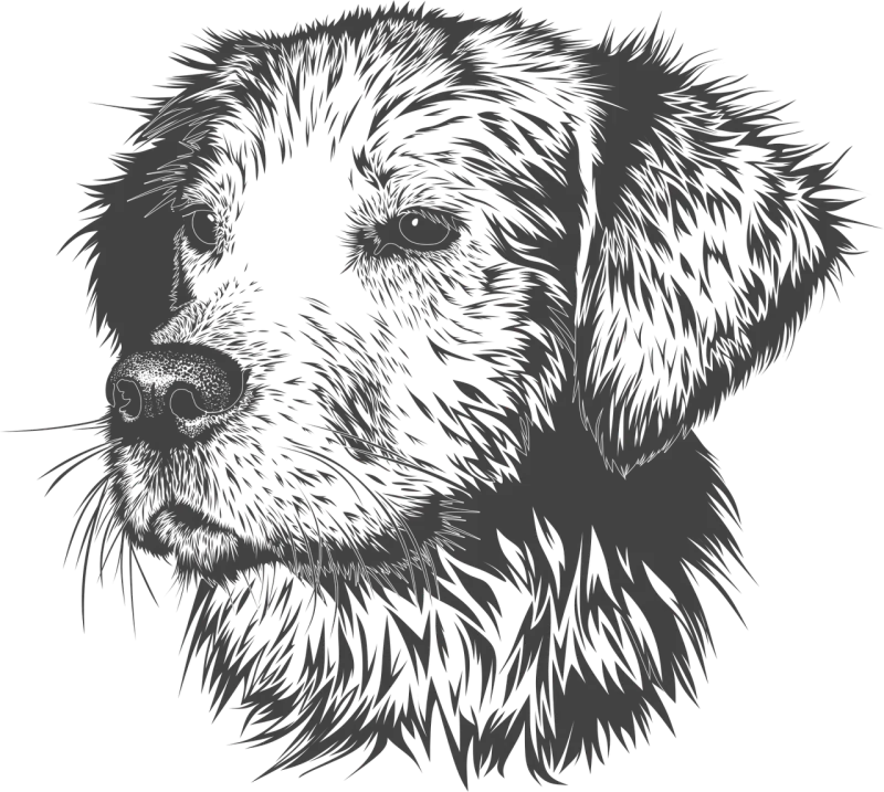 Dog Animal Domestic animal Stickdatei – Tiere