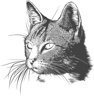 Cat Kitty Head Stickdatei