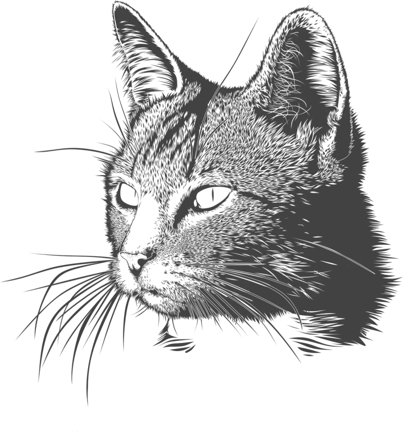 Cat Kitty Head Stickdatei – Tiere