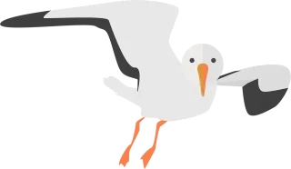 Gull Animal Water bird Stickdatei