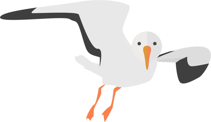 Gull Animal Water bird Stickdatei – Tiere