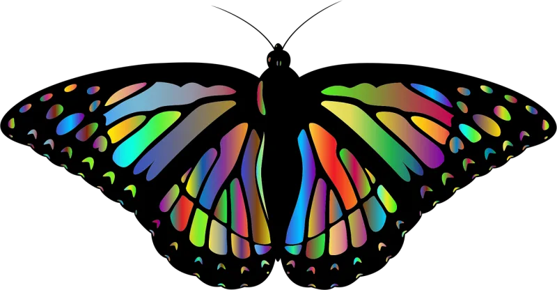 Monarch Butterfly Nature Stickdatei – Tiere