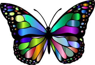 Animal Butterfly Chromatic Stickdatei