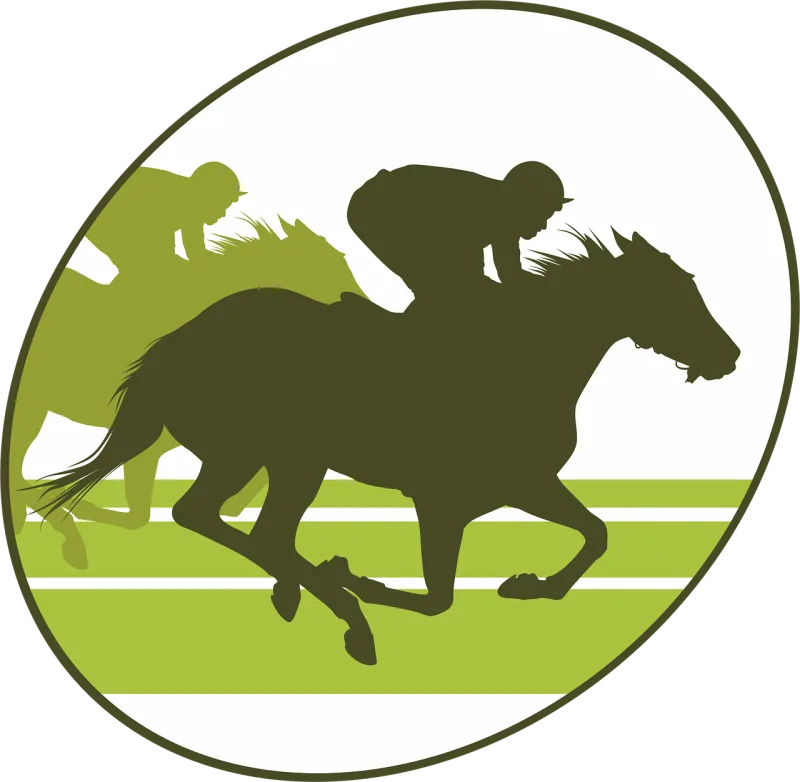 Horse race Horse Equine Stickdatei – Tiere