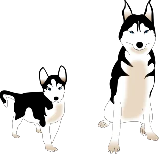 Dog Siberian husky Puppy Stickdatei – Tiere