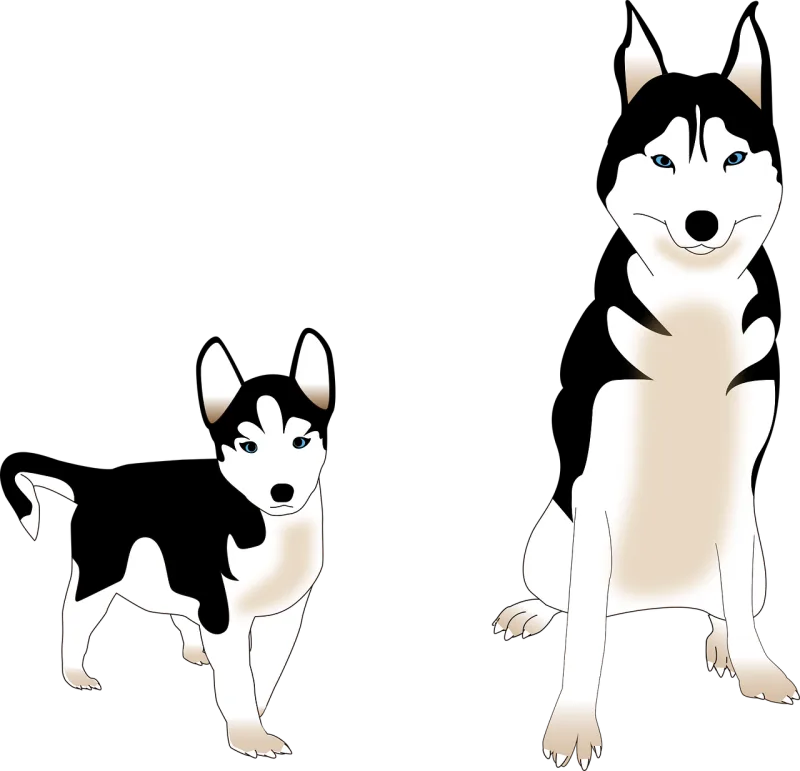 Dog Siberian husky Puppy Stickdatei – Tiere