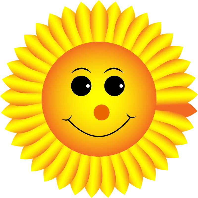 Sunflower Smiley Face Stickdatei – Blumen
