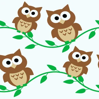 Owl Owls Cartoon Stickdatei