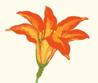 Flower Floral Beautiful flowers Stickdatei